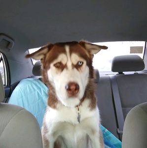 Meet your Posher, Vicki